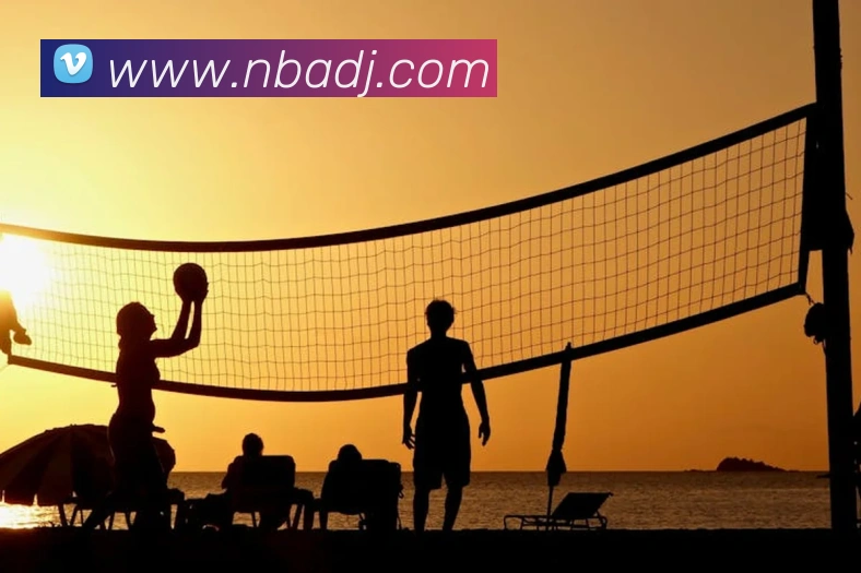 App Interface Preview